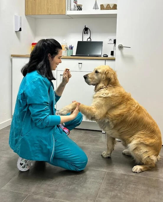 Foto cálida y amigable de Verónica y Thor